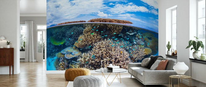 PHOTOWALL / Split Level from Mayotte Reef (e331579)