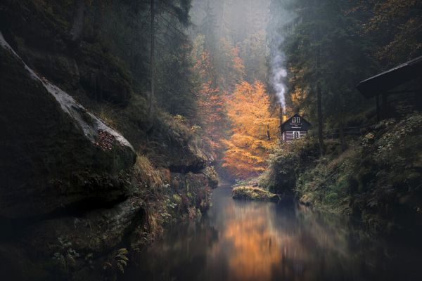 PHOTOWALL / Autumn Valley (e331581)