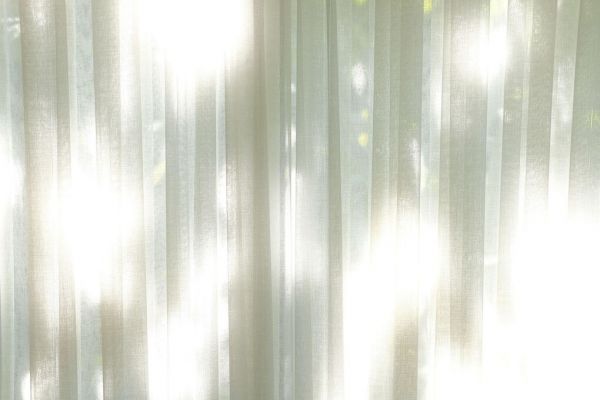 PHOTOWALL / Morning Window Curtain (e331685)