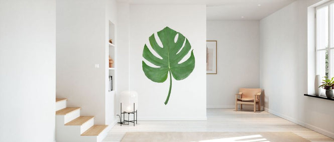 PHOTOWALL / Monstera Aqua 07 (e331592)