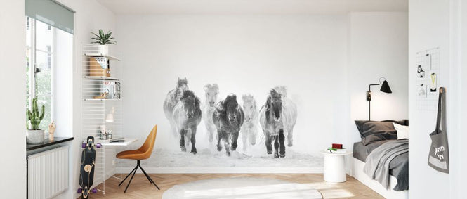 PHOTOWALL / Horses - BW (e331599)