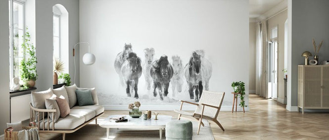 PHOTOWALL / Horses - BW (e331599)
