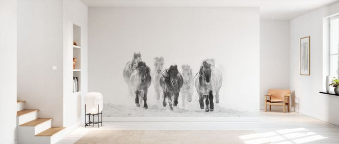PHOTOWALL / Horses - BW (e331599)