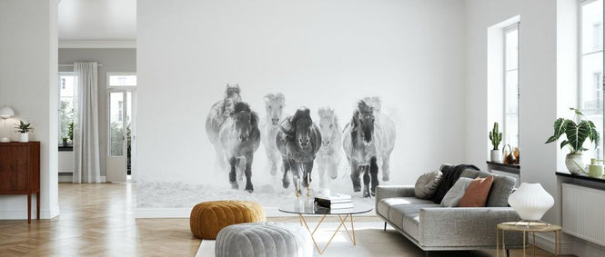 PHOTOWALL / Horses - BW (e331599)