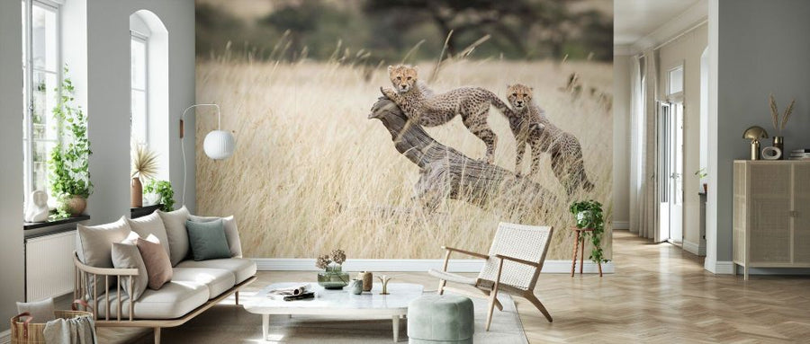 PHOTOWALL / Cheetah Cubs (e331601)