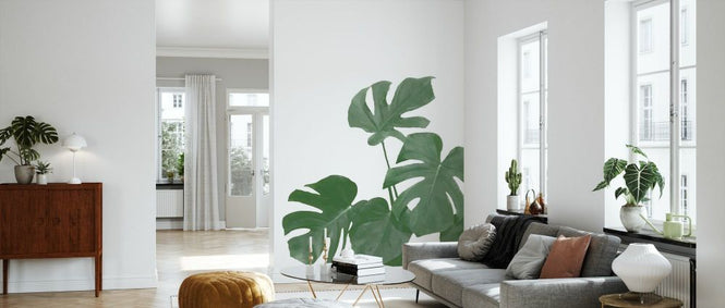 PHOTOWALL / Monstera Aqua 04 (e331641)