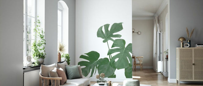 PHOTOWALL / Monstera Aqua 04 (e331641)