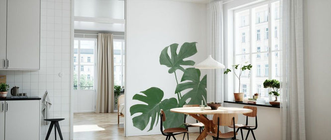 PHOTOWALL / Monstera Aqua 04 (e331641)