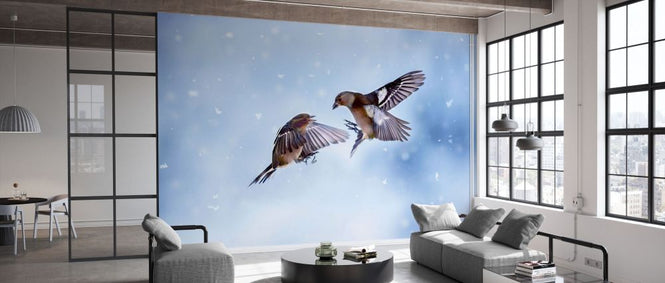 PHOTOWALL / Finches (e331659)
