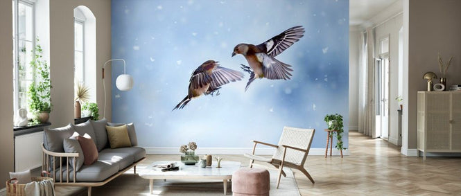 PHOTOWALL / Finches (e331659)