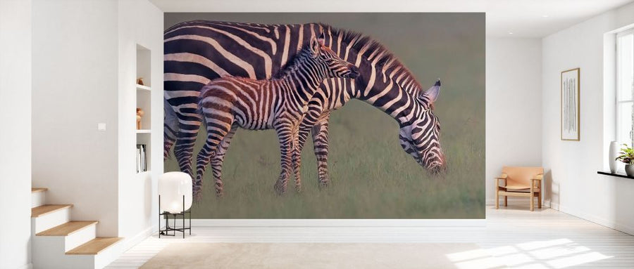 PHOTOWALL / Zebra and Foal (e331660)
