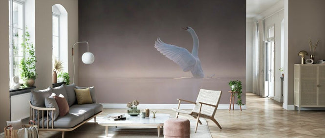 PHOTOWALL / Tundra Swan (e331662)