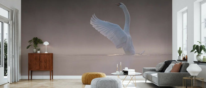 PHOTOWALL / Tundra Swan (e331662)