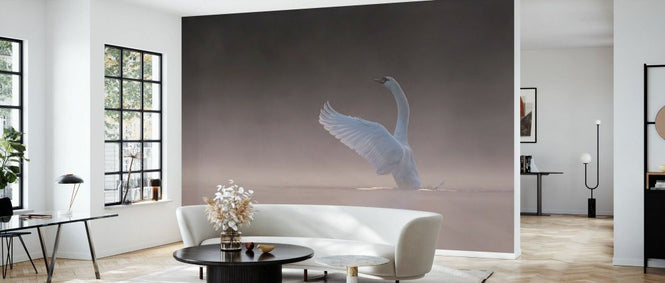 PHOTOWALL / Tundra Swan (e331662)