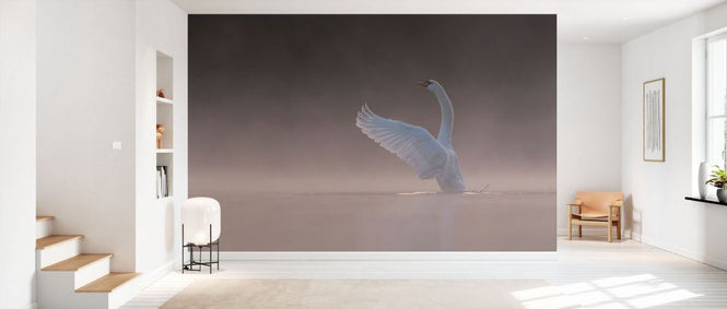 PHOTOWALL / Tundra Swan (e331662)