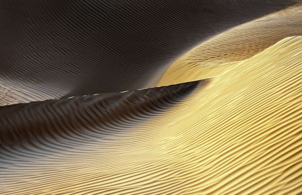PHOTOWALL / Shapes of the Wind II (e332136)