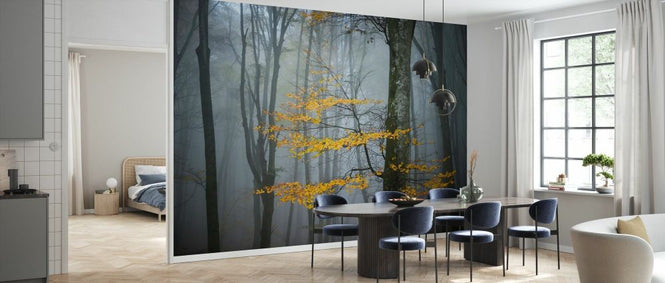 PHOTOWALL / Beech Forest in Autumn (e332142)