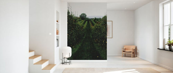 PHOTOWALL / Apple Path (e332919)