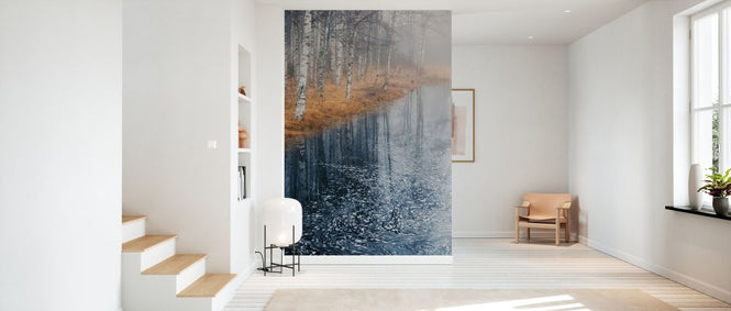 PHOTOWALL / Monet Revisited (e332930)