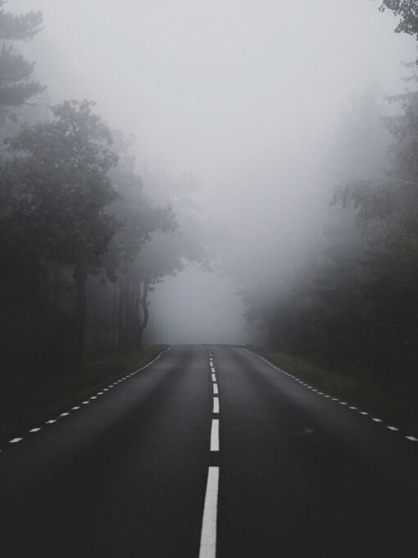 PHOTOWALL / November Road (e332932)