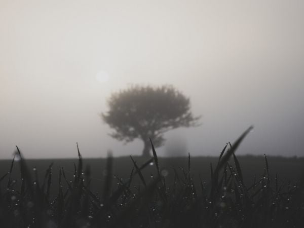 PHOTOWALL / Rise (e332936)