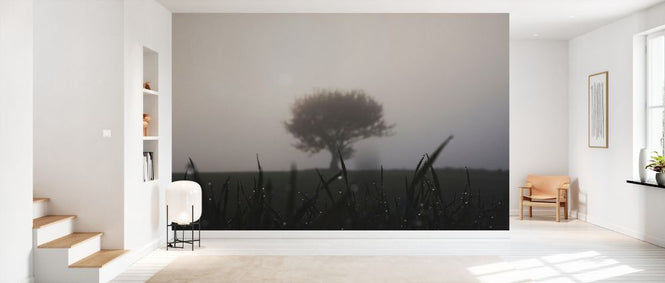 PHOTOWALL / Rise (e332936)