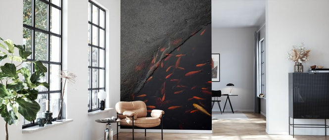 PHOTOWALL / Winter Fish (e332945)