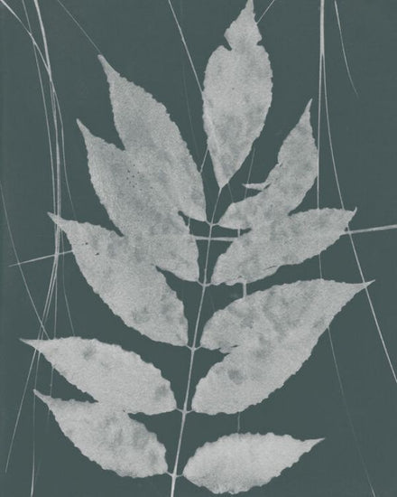 PHOTOWALL / Enchanted Fall Cyanotype IX (e331793)