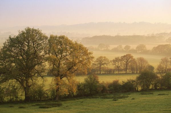PHOTOWALL / Dawn at Staunton Caundle (e331987)