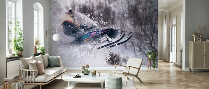 PHOTOWALL / Skidoo Cross (e331990)