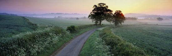 PHOTOWALL / Summer Morning over Countryside (e331992)