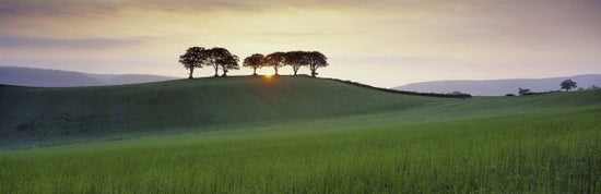 PHOTOWALL / Sunrise Near Luccombe (e331993)