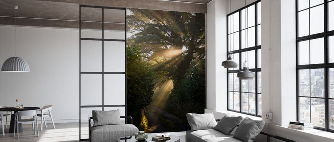 PHOTOWALL / Rays of Sunlight Shining Through Trees (e332002)