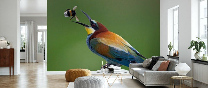 PHOTOWALL / Bee-eater Catching Bumblebee (e332005)