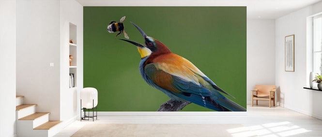 PHOTOWALL / Bee-eater Catching Bumblebee (e332005)
