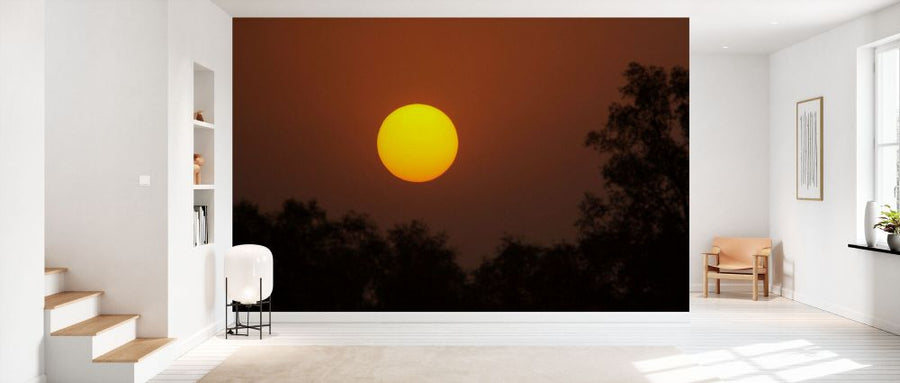 PHOTOWALL / Sunrise Over the Mangrove Forest (e332010)