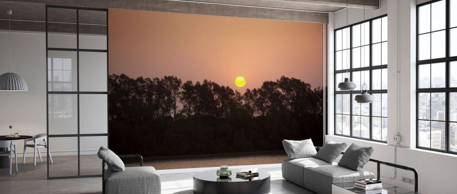 PHOTOWALL / Sunrise Over the Mangrove Forest II (e332011)