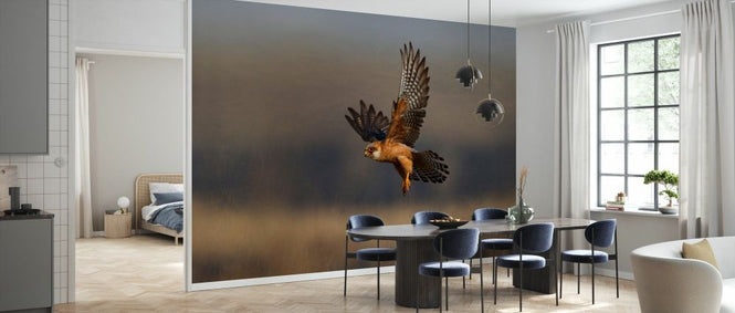 PHOTOWALL / Female Red Footed Falcon (e332019)