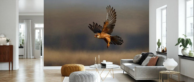PHOTOWALL / Female Red Footed Falcon (e332019)
