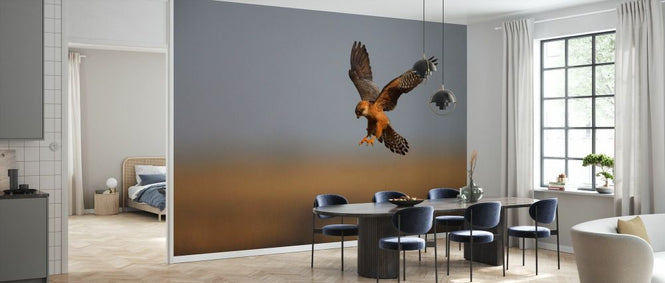 PHOTOWALL / Female Red Footed Falcon II (e332020)