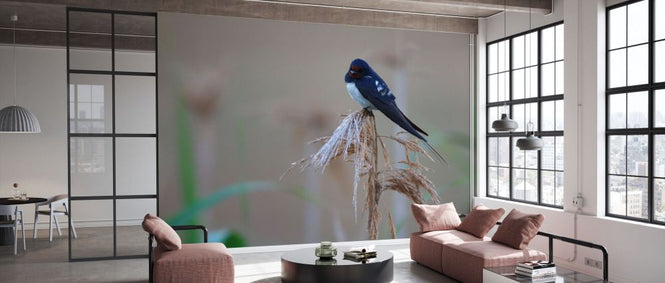 PHOTOWALL / Barn Swallow Perching on Reed (e332022)