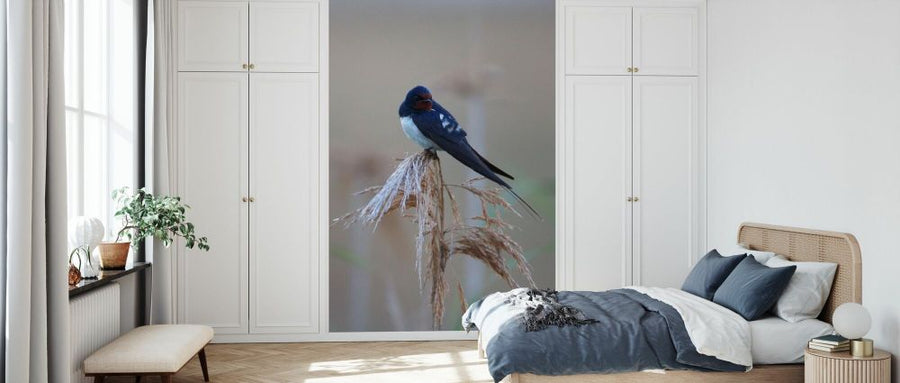 PHOTOWALL / Barn Swallow Perching on Reed II (e332023)
