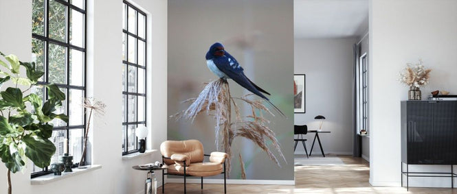 PHOTOWALL / Barn Swallow Perching on Reed II (e332023)