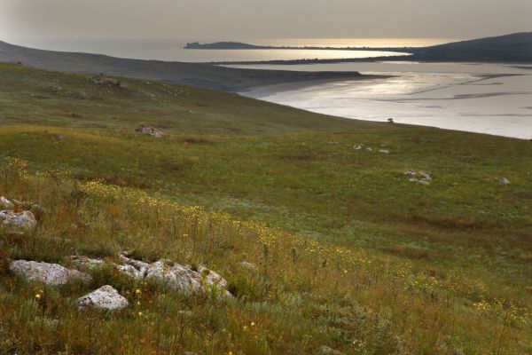 PHOTOWALL / Bagerova Steppe (e332029)