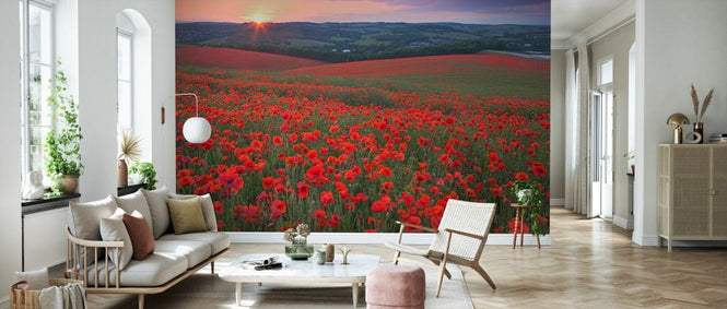 PHOTOWALL / Sunset Over Fields of Common Poppies (e332037)