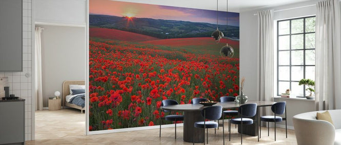 PHOTOWALL / Sunset Over Fields of Common Poppies (e332037)