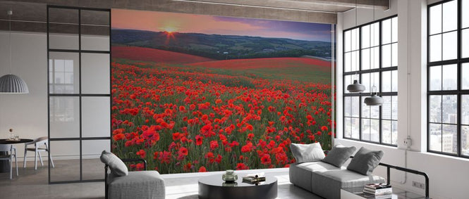 PHOTOWALL / Sunset Over Fields of Common Poppies (e332037)