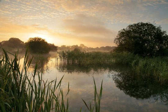 PHOTOWALL / Sunrise Over Freshwater Lake (e332038)