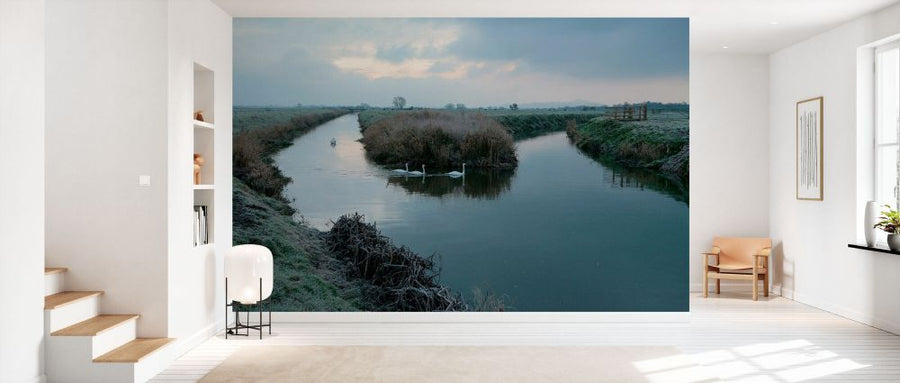 PHOTOWALL / Mute Swans on the River Brue (e332042)