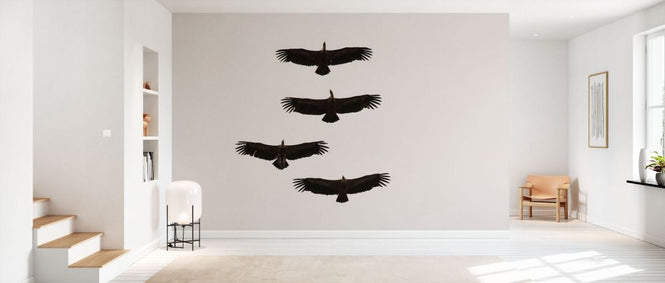 PHOTOWALL / Four Griffon Vultures in Flight (e332050)